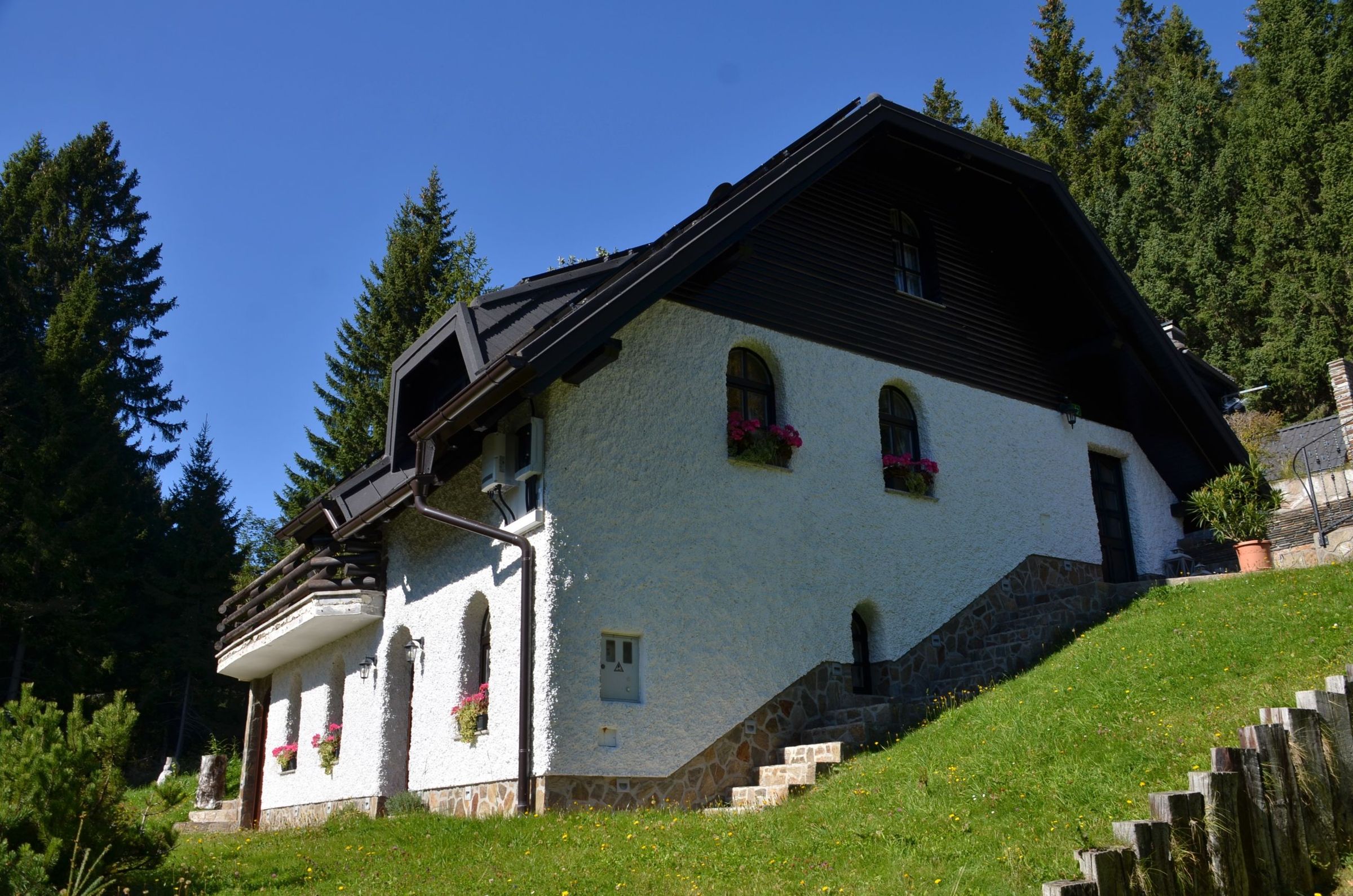 Apartma Arnika, bela hiša s temnim lesenim ostrešjem med smrekami na Rogli
