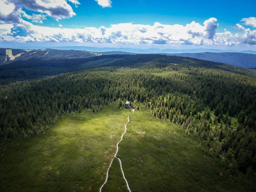 Pohorski gozdovi in barje z razglednim stolpom iz zraka